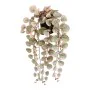 Plante décorative Mica Decorations Ceropegia Woodii 10 x 46 x 12 cm Artificielle A accrocher de Mica Decorations, Plantes art...