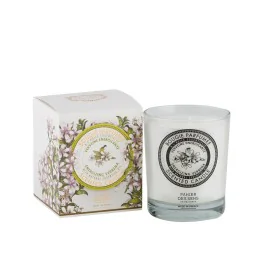 Scented Candle Panier des Sens Verbena (180 ml) by Panier des Sens, Candles - Ref: S8304637, Price: 15,32 €, Discount: %