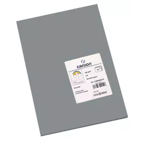 Papiers carton Iris Gris de Iris, Papier - Réf : S8410475, Prix : 12,98 €, Remise : %