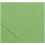 Papiers carton Iris Apple Vert 50 x 65 cm de Iris, Papier - Réf : S8410496, Prix : 13,62 €, Remise : %