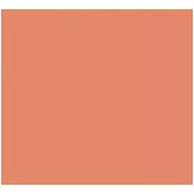 Card Iris Coral 50 x 65 cm by Iris, Paper - Ref: S8410541, Price: 17,04 €, Discount: %