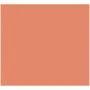 Papier carton Iris Corail 50 x 65 cm de Iris, Papier - Réf : S8410541, Prix : 17,04 €, Remise : %