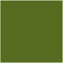 Card Iris Military green 50 x 65 cm by Iris, Paper - Ref: S8410543, Price: 17,04 €, Discount: %