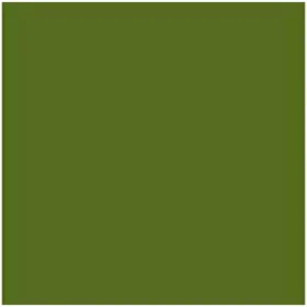 Cartolina Iris Verde militar 50 x 65 cm de Iris, Papel - Ref: S8410543, Preço: 17,04 €, Desconto: %