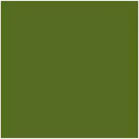 Card Iris Military green 50 x 65 cm by Iris, Paper - Ref: S8410543, Price: 17,04 €, Discount: %