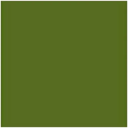 Cartolina Iris Verde militar 50 x 65 cm de Iris, Papel - Ref: S8410543, Preço: 17,04 €, Desconto: %