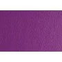 Papiers carton Sadipal LR 220 g/m² Violet 50 x 70 cm (20 Unités) de Sadipal, Papier - Réf : S8422759, Prix : 10,47 €, Remise : %