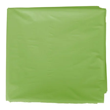 Sac Fixo Déguisement Plastique Vert clair 65 x 90 cm de Fixo, Sets & Kits - Réf : S8423147, Prix : 16,79 €, Remise : %