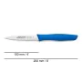 Coltello Spelucchino Arcos Nova Azzurro Acciaio inossidabile polipropilene 10 cm di Arcos, Coltelli per sbucciare - Rif: S842...