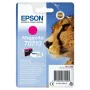 Cartuccia ad Inchiostro Originale Epson D-78/92/120/DX-4000/5000/6000/7000F Magenta (10 Unità) di Epson, Toner e inchiostro p...