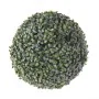 Planta Decorativa Boj Bola Plástico 30 x 30 x 30 cm de BigBuy Garden, Plantas - Ref: S8700454, Precio: 21,59 €, Descuento: %