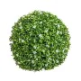 Planta Decorativa Bol Flor de Laranjeira 30 x 30 x 30 cm de BigBuy Garden, Plantas - Ref: S8700488, Preço: 20,72 €, Desconto: %