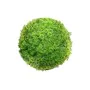 Plante décorative Ballon Mousse 20 x 20 x 20 cm de BigBuy Garden, Plantes artificielles - Réf : S8700521, Prix : 9,79 €, Remi...