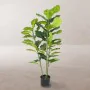 Planta Decorativa Poliuretano Cemento Ficus 120 cm de BigBuy Home, Plantas - Ref: S8700742, Precio: 87,94 €, Descuento: %