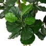 Plante décorative Polyuréthane Ciment Ficus 175 cm de BigBuy Home, Plantes artificielles - Réf : S8700743, Prix : 133,55 €, R...