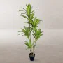 Planta Decorativa Poliuretano Cemento 150 cm de BigBuy Home, Plantas - Ref: S8700745, Precio: 97,60 €, Descuento: %