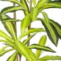 Decorative Plant Polyurethane Cement 180 cm by BigBuy Home, Artificial Plants - Ref: S8700746, Price: 133,55 €, Discount: %