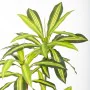 Plante décorative Polyuréthane Ciment 180 cm de BigBuy Home, Plantes artificielles - Réf : S8700746, Prix : 133,55 €, Remise : %