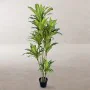 Planta Decorativa Poliuretano Cemento 180 cm de BigBuy Home, Plantas - Ref: S8700746, Precio: 133,55 €, Descuento: %