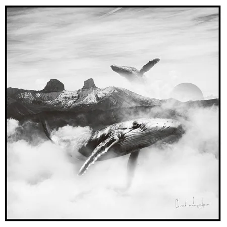 Canvas 80 x 2,5 x 80 cm Whale by BigBuy Home, Prints on Canvas - Ref: S8800059, Price: 58,60 €, Discount: %