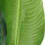 Plante décorative PVC Fer Oiseaux de paradis 150 cm de BigBuy Home, Plantes artificielles - Réf : S8800136, Prix : 125,19 €, ...