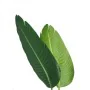 Planta Decorativa PVC Hierro Ave del paraíso 150 cm de BigBuy Home, Plantas - Ref: S8800136, Precio: 119,91 €, Descuento: %