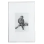 Canvas 60 x 2,5 x 90 cm Bird by BigBuy Home, Prints on Canvas - Ref: S8800146, Price: 39,78 €, Discount: %