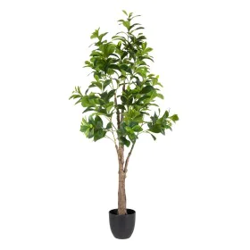 Decorative Plant Green PVC 145 cm Peperomia by BigBuy Home, Artificial Plants - Ref: S8800350, Price: 85,18 €, Discount: %