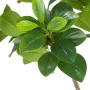 Decorative Plant Green PVC 145 cm Peperomia by BigBuy Home, Artificial Plants - Ref: S8800350, Price: 85,18 €, Discount: %