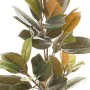 Decorative Plant PVC Iron Fig Tree 36 x 37 x 90 cm by BigBuy Home, Artificial Plants - Ref: S8800352, Price: 38,83 €, Discoun...