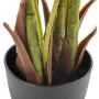 Planta Decorativa Polietileno Palmeira 110 x 110 x 170 cm de BigBuy Home, Plantas - Ref: S8800692, Preço: 94,66 €, Desconto: %