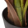 Planta Decorativa Polietileno Palmera 110 x 110 x 170 cm de BigBuy Home, Plantas - Ref: S8800692, Precio: 94,66 €, Descuento: %