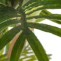 Decorative Plant Polyethylene Palm tree 110 x 110 x 170 cm by BigBuy Home, Artificial Plants - Ref: S8800692, Price: 94,66 €,...