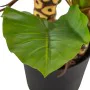 Plante décorative 80 x 90 x 140 cm Vert Philodendron de BigBuy Home, Plantes artificielles - Réf : S8800703, Prix : 101,85 €,...