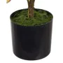 Planta Decorativa 36 x 30 x 44 cm Crema Peonía de BigBuy Home, Plantas - Ref: S8801148, Precio: 20,23 €, Descuento: %