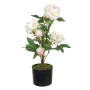 Decorative Plant 34 x 30 x 59 cm Cream Peony by BigBuy Home, Artificial Plants - Ref: S8801149, Price: 31,56 €, Discount: %