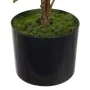 Decorative Plant 34 x 30 x 59 cm Cream Peony by BigBuy Home, Artificial Plants - Ref: S8801149, Price: 31,56 €, Discount: %