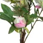 Decorative Plant 34 x 30 x 59 cm Cream Peony by BigBuy Home, Artificial Plants - Ref: S8801149, Price: 31,56 €, Discount: %