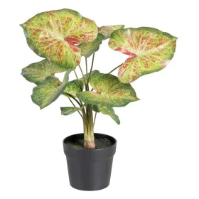 Planta Decorativa 48 x 46 x 55 cm Vermelho Verde PVC de BigBuy Home, Plantas - Ref: S8801664, Preço: 31,82 €, Desconto: %