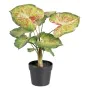 Plante décorative 48 x 46 x 55 cm Rouge Vert PVC de BigBuy Home, Plantes artificielles - Réf : S8801664, Prix : 31,82 €, Remi...