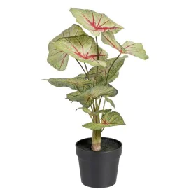 Plante décorative Rouge Vert PVC 40 x 35 x 55 cm de BigBuy Home, Plantes artificielles - Réf : S8801665, Prix : 31,82 €, Remi...