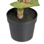 Planta Decorativa Rojo Verde PVC 40 x 35 x 55 cm de BigBuy Home, Plantas - Ref: S8801665, Precio: 31,82 €, Descuento: %