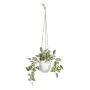 Planta Decorativa 24 x 35 x 25 cm Branco Verde PVC de BigBuy Home, Plantas - Ref: S8801666, Preço: 24,48 €, Desconto: %