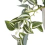 Planta Decorativa 24 x 35 x 25 cm Blanco Verde PVC de BigBuy Home, Plantas - Ref: S8801666, Precio: 24,48 €, Descuento: %