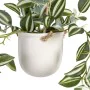 Planta Decorativa 24 x 35 x 25 cm Branco Verde PVC de BigBuy Home, Plantas - Ref: S8801666, Preço: 24,48 €, Desconto: %