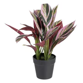 Plante décorative 44 x 39 x 48 cm Rose Vert PVC de BigBuy Home, Plantes artificielles - Réf : S8801668, Prix : 30,12 €, Remis...