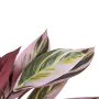 Plante décorative 44 x 39 x 48 cm Rose Vert PVC de BigBuy Home, Plantes artificielles - Réf : S8801668, Prix : 28,91 €, Remis...