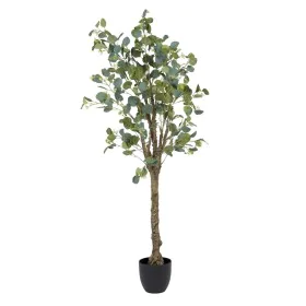 Decorative Plant 78 x 68 x 150 cm Green PVC Eucalyptus by BigBuy Home, Artificial Plants - Ref: S8801671, Price: 102,56 €, Di...