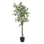 Plante décorative 78 x 68 x 150 cm Vert PVC Eucalyptus de BigBuy Home, Plantes artificielles - Réf : S8801671, Prix : 102,56 ...