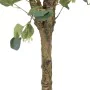 Plante décorative 78 x 68 x 150 cm Vert PVC Eucalyptus de BigBuy Home, Plantes artificielles - Réf : S8801671, Prix : 102,56 ...